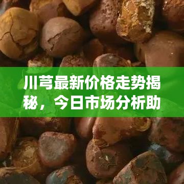 川芎最新價格走勢揭秘，今日市場分析助你洞悉行情變化！