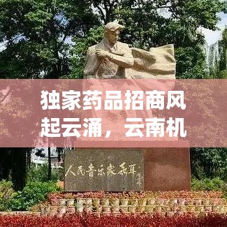 獨家藥品招商風起云涌，云南機遇挑戰(zhàn)并存，醫(yī)藥市場新風向