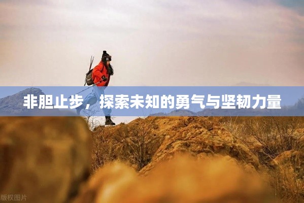 非膽止步，探索未知的勇氣與堅(jiān)韌力量