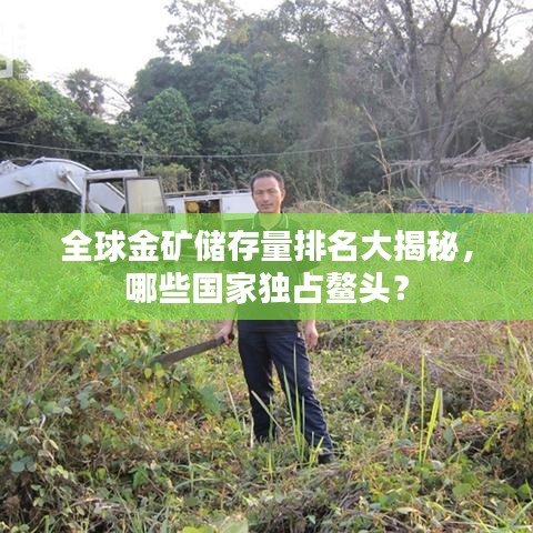 全球金礦儲(chǔ)存量排名大揭秘，哪些國家獨(dú)占鰲頭？