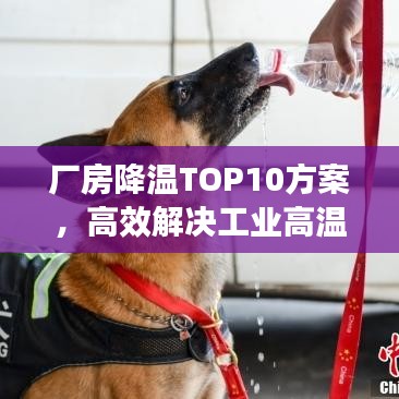 廠房降溫TOP10方案，高效解決工業(yè)高溫，助力生產(chǎn)環(huán)境優(yōu)化