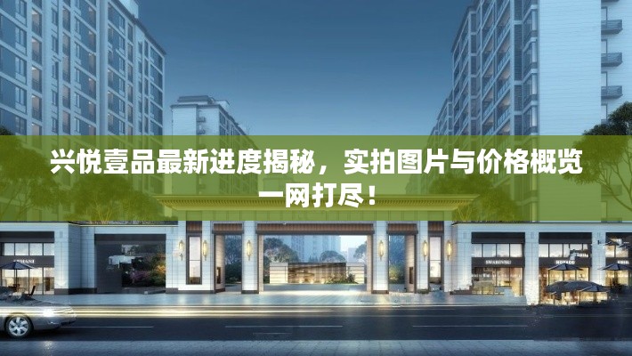 興悅壹品最新進(jìn)度揭秘，實(shí)拍圖片與價(jià)格概覽一網(wǎng)打盡！