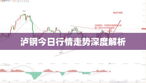 2025年1月 第6頁(yè)