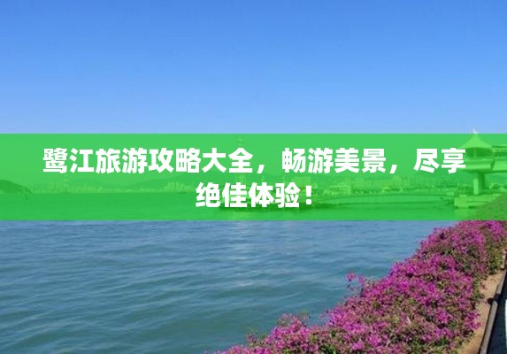 鷺江旅游攻略大全，暢游美景，盡享絕佳體驗！