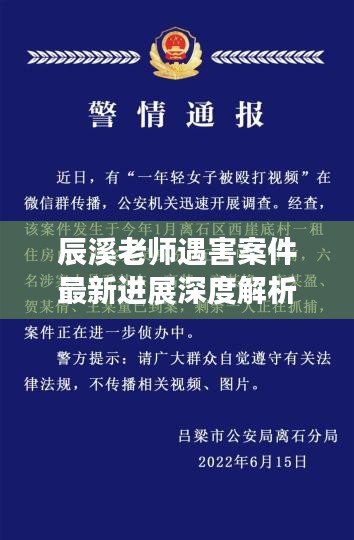 辰溪老師遇害案件最新進(jìn)展深度解析，事件視頻曝光與影響探究