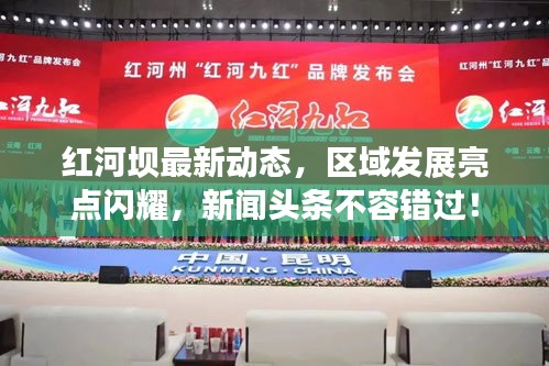 紅河壩最新動態(tài)，區(qū)域發(fā)展亮點閃耀，新聞頭條不容錯過！