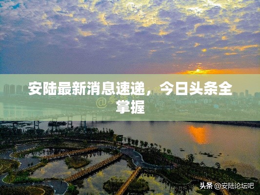 安陸最新消息速遞，今日頭條全掌握