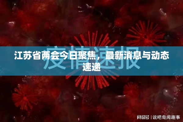 江蘇省兩會(huì)今日聚焦，最新消息與動(dòng)態(tài)速遞