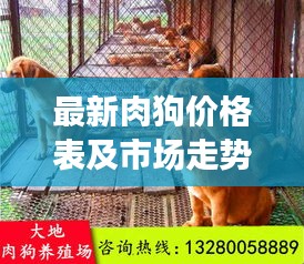 最新肉狗價(jià)格表及市場(chǎng)走勢(shì)分析，多重因素揭秘價(jià)格浮動(dòng)原因