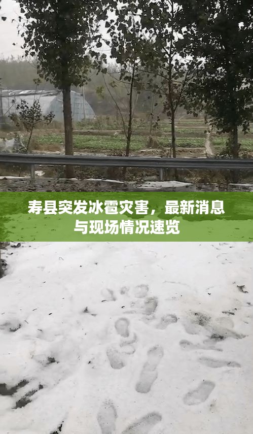 壽縣突發(fā)冰雹災(zāi)害，最新消息與現(xiàn)場(chǎng)情況速覽