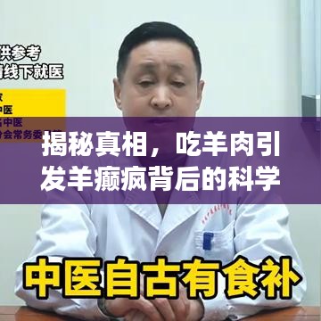 揭秘真相，吃羊肉引發(fā)羊癲瘋背后的科學解讀
