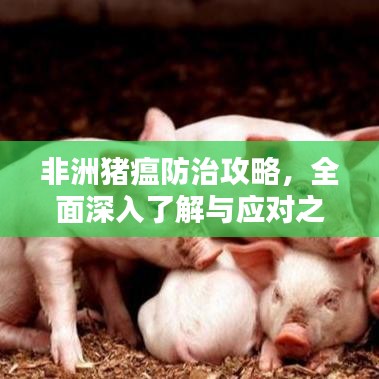 非洲豬瘟防治攻略，全面深入了解與應對之道
