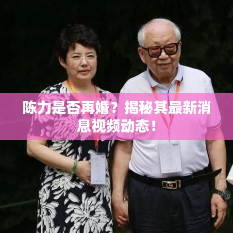 陳力是否再婚？揭秘其最新消息視頻動(dòng)態(tài)！