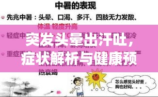 突發(fā)頭暈出汗吐，癥狀解析與健康預(yù)警提示
