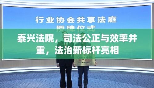 泰興法院，司法公正與效率并重，法治新標(biāo)桿亮相