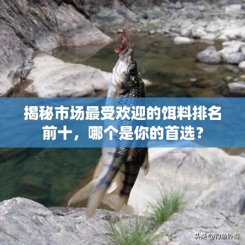 揭秘市場最受歡迎的餌料排名前十，哪個(gè)是你的首選？