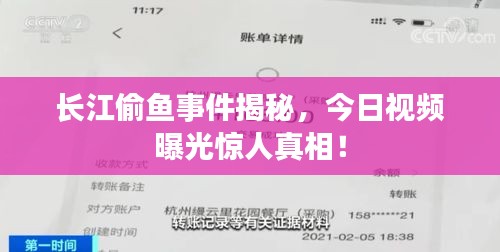 長(zhǎng)江偷魚事件揭秘，今日視頻曝光驚人真相！