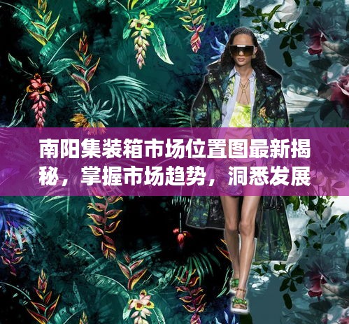 南陽(yáng)集裝箱市場(chǎng)位置圖最新揭秘，掌握市場(chǎng)趨勢(shì)，洞悉發(fā)展動(dòng)態(tài)