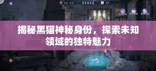揭秘黑貓神秘身份，探索未知領(lǐng)域的獨(dú)特魅力