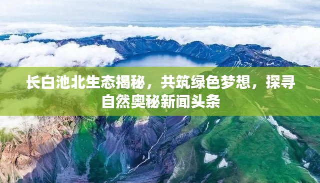 長白池北生態(tài)揭秘，共筑綠色夢想，探尋自然奧秘新聞頭條