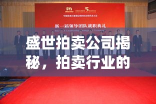 盛世拍賣公司揭秘，拍賣行業(yè)的繁榮景象探索