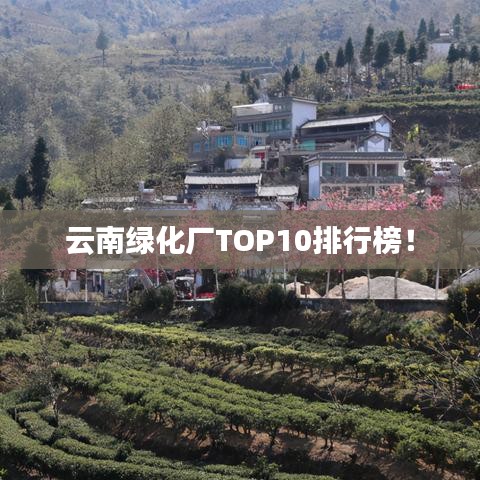 云南綠化廠TOP10排行榜！
