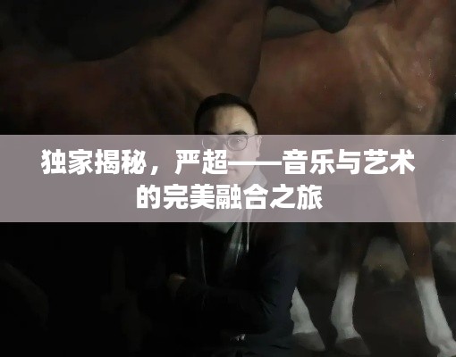 獨家揭秘，嚴(yán)超——音樂與藝術(shù)的完美融合之旅