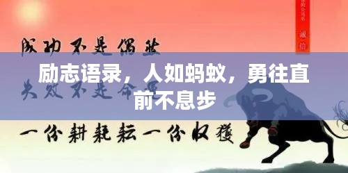 勵志語錄，人如螞蟻，勇往直前不息步