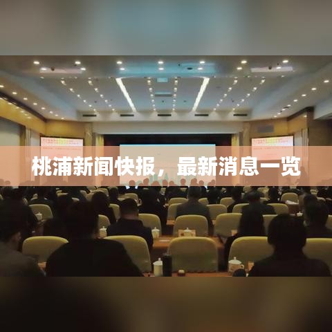 桃浦新聞快報，最新消息一覽