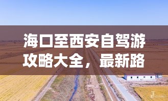 ?？谥廖靼沧择{游攻略大全，最新路線一網(wǎng)打盡