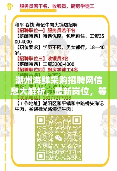潮州海鮮采購招聘網(wǎng)信息大解析，最新崗位，等你來挑！