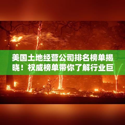 美國土地經(jīng)營公司排名榜單揭曉！權(quán)威榜單帶你了解行業(yè)巨頭！