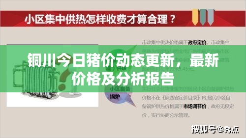 銅川今日豬價(jià)動(dòng)態(tài)更新，最新價(jià)格及分析報(bào)告