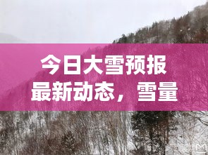 今日大雪預(yù)報最新動態(tài)，雪量、時間一覽無余！