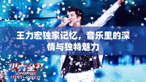王力宏獨(dú)家記憶，音樂里的深情與獨(dú)特魅力
