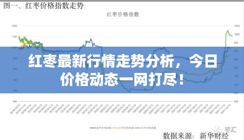 紅棗最新行情走勢分析，今日價(jià)格動(dòng)態(tài)一網(wǎng)打盡！