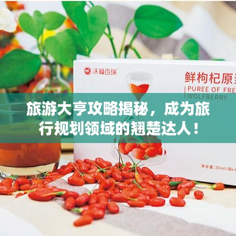 旅游大亨攻略揭秘，成為旅行規(guī)劃領(lǐng)域的翹楚達人！