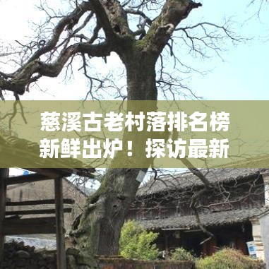 慈溪古老村落排名榜新鮮出爐！探訪最新榜單中的魅力村落
