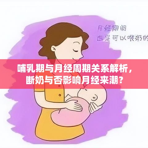 哺乳期與月經(jīng)周期關(guān)系解析，斷奶與否影響月經(jīng)來潮？