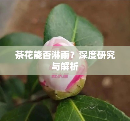 草長鶯飛
