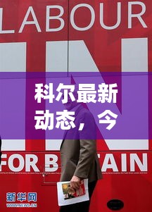 科爾最新動(dòng)態(tài)，今日新聞一覽