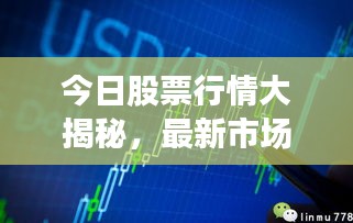 今日股票行情大揭秘，最新市場動態(tài)一網(wǎng)打盡！