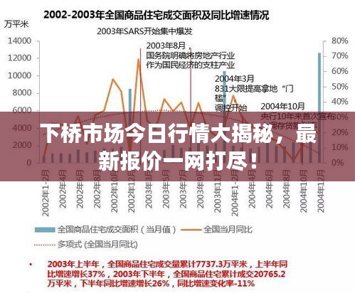 下橋市場今日行情大揭秘，最新報價一網(wǎng)打盡！