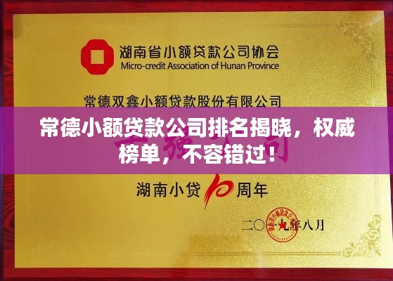 常德小額貸款公司排名揭曉，權(quán)威榜單，不容錯過！