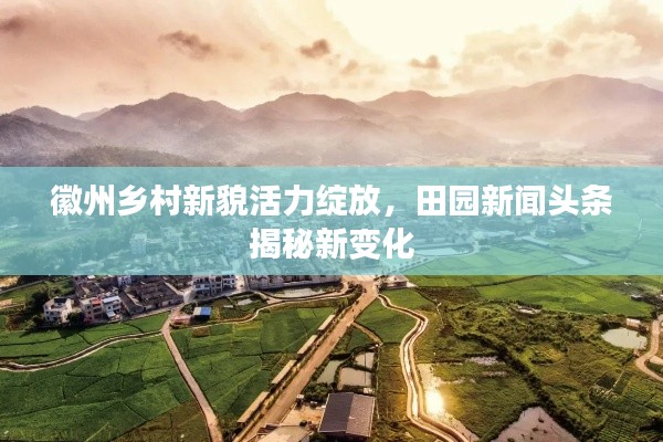 徽州鄉(xiāng)村新貌活力綻放，田園新聞頭條揭秘新變化