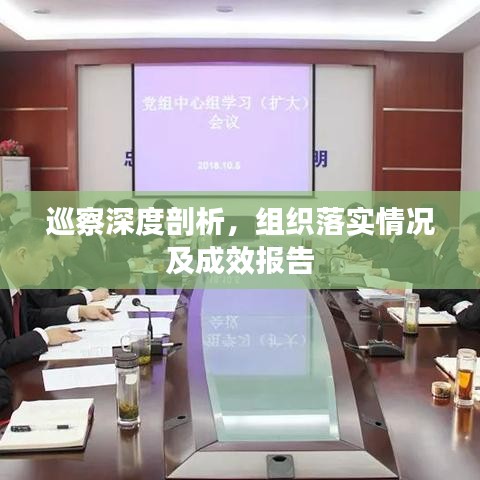 巡察深度剖析，組織落實(shí)情況及成效報(bào)告