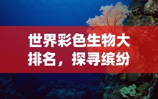 世界彩色生物大排名，探尋繽紛生命之美