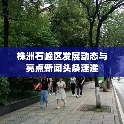 株洲石峰區(qū)發(fā)展動(dòng)態(tài)與亮點(diǎn)新聞?lì)^條速遞