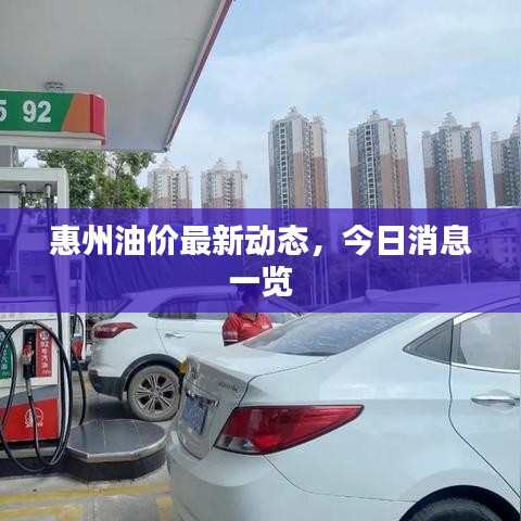 惠州油價最新動態(tài)，今日消息一覽