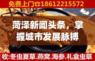 菏澤新聞頭條，掌握城市發(fā)展脈搏，洞察民生動態(tài)